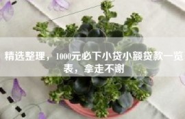 精选整理，1000元必下小贷小额贷款一览表，拿走不谢