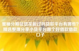 蜜柚分期征信花能过吗贷款平台有哪些？精选整理分享小贷平台哪个好借款借款口子