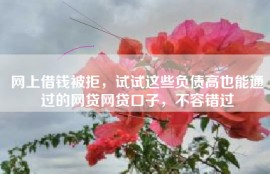 网上借钱被拒，试试这些负债高也能通过的网贷网贷口子，不容错过