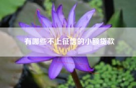 有哪些不上征信的小额贷款