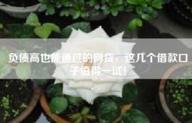 负债高也能通过的网贷，这几个借款口子值得一试！