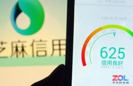 支付宝芝麻分超700分？有哪些特权？