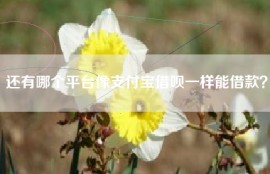 还有哪个平台像支付宝借呗一样能借款？