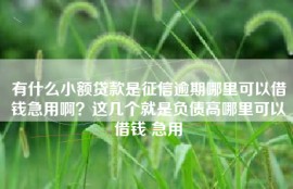 有什么小额贷款是征信逾期哪里可以借钱急用啊？这几个就是负债高哪里可以借钱 急用