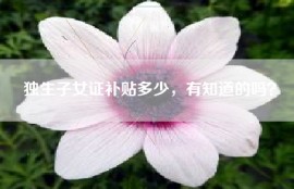 独生子女证补贴多少，有知道的吗？