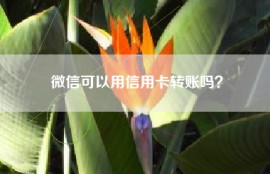 微信可以用信用卡转账吗？