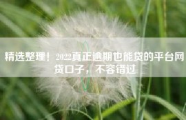精选整理！2022真正逾期也能贷的平台网贷口子，不容错过