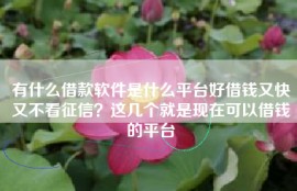 有什么借款软件是什么平台好借钱又快又不看征信？这几个就是现在可以借钱的平台
