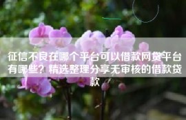 征信不良在哪个平台可以借款网贷平台有哪些？精选整理分享无审核的借款贷款