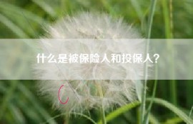 什么是被保险人和投保人？