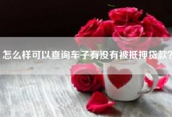 怎么样可以查询车子有没有被抵押贷款？