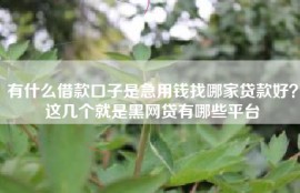 有什么借款口子是急用钱找哪家贷款好？这几个就是黑网贷有哪些平台