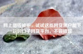 网上借钱被拒，试试这些网贷黑户能下款的口子网贷平台，不容错过