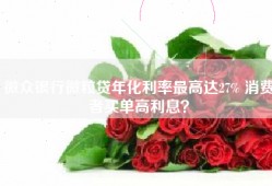 微众银行微粒贷年化利率最高达27% 消费者买单高利息？