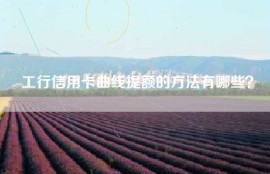 工行信用卡曲线提额的方法有哪些？