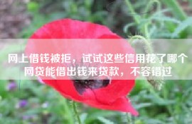 网上借钱被拒，试试这些信用花了哪个网贷能借出钱来贷款，不容错过