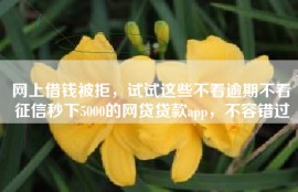 网上借钱被拒，试试这些不看逾期不看征信秒下5000的网贷贷款app，不容错过