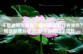 不管逾期负债能下款的借款软件有哪些？精选整理分享2022好下款的口子贷款app