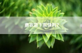 惠农贷下款快吗？