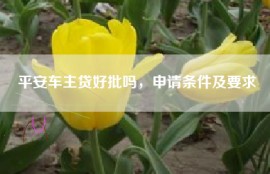 平安车主贷好批吗，申请条件及要求