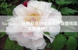 Too Young，还想从支付宝或微粒贷借钱出来做理财？？