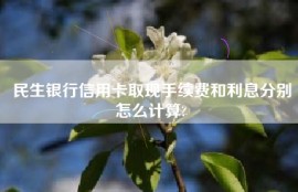 民生银行信用卡取现手续费和利息分别怎么计算?