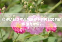 构成拾财贷平台的高安全性理财项目的原因有哪些？