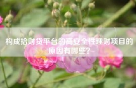 构成拾财贷平台的高安全性理财项目的原因有哪些？