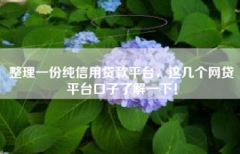 整理一份纯信用贷款平台，这几个网贷平台口子了解一下！