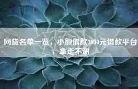 网贷名单一览，小额借款3000元借款平台，拿走不谢