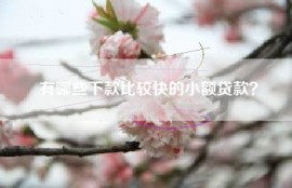 有哪些下款比较快的小额贷款？
