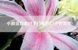 小额贷款必过无门槛的口子有哪些?