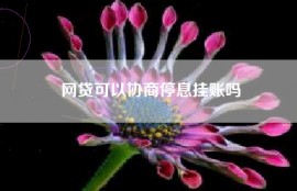 网贷可以协商停息挂账吗