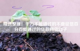 精选整理！千万不能错过的不查征信百分百能通过的贷款网贷口子