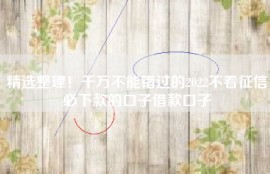 精选整理！千万不能错过的2022不看征信必下款的口子借款口子