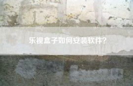 乐视盒子如何安装软件？