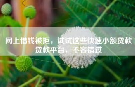 网上借钱被拒，试试这些快速小额贷款贷款平台，不容错过