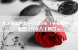双黑贷款的口子2022网贷口子有哪些？精选整理分享几个网贷app