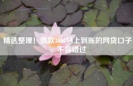 精选整理！借款3000马上到账的网贷口子，不容错过