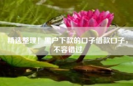 精选整理！黑户下款的口子借款口子，不容错过