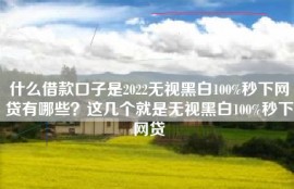 什么借款口子是2022无视黑白100%秒下网贷有哪些？这几个就是无视黑白100%秒下网贷