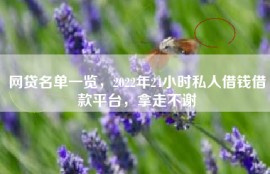 网贷名单一览，2022年24小时私人借钱借款平台，拿走不谢