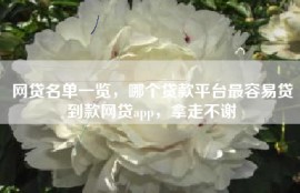 网贷名单一览，哪个贷款平台最容易贷到款网贷app，拿走不谢