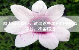 网上借钱被拒，试试这些黑户口子贷款平台，不容错过