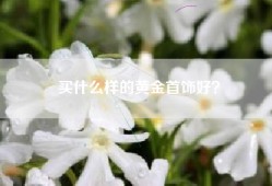 买什么样的黄金首饰好？
