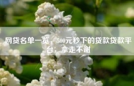 网贷名单一览，500元秒下的贷款贷款平台，拿走不谢