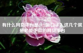 有什么网贷平台是2022新口子？这几个就是必能下款的网贷平台