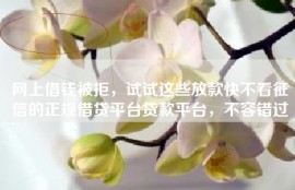 网上借钱被拒，试试这些放款快不看征信的正规借贷平台贷款平台，不容错过