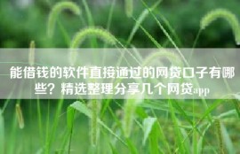 能借钱的软件直接通过的网贷口子有哪些？精选整理分享几个网贷app