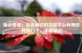 精选整理！容易通过的贷款平台有哪些网贷口子，不容错过